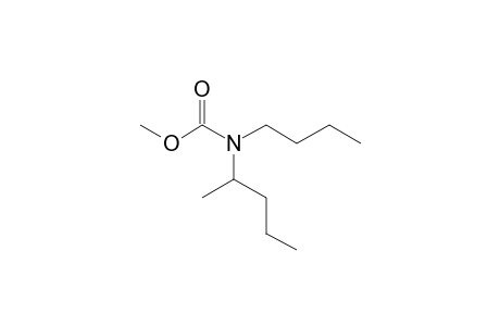 Carbonic acid, monoamide, N-(2-pentyl)-N-butyl-, methyl ester