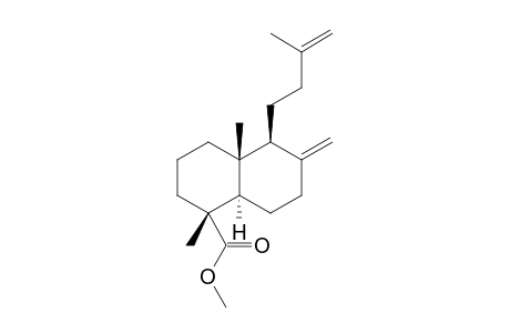 15-Norlabda-8(20),13-dien-19-oic acid methyl ester