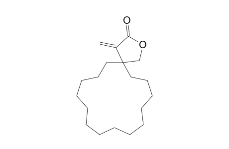 4-Methylene-2-oxaspiro[4.14]nonadecan-3-one