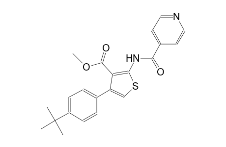 methyl 4-(4-tert-butylphenyl)-2-(isonicotinoylamino)-3-thiophenecarboxylate