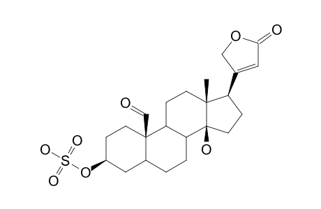 COROTOXIGENIN-3-O-SULFATE