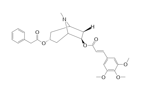 PERVILLEINE-F;3-ALPHA-PHENYLACETOXY-6-BETA-(E)-(3,4,5-TRIMETHOXYCINNAMOYLOXY)-TROPANE
