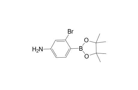 3-Bromo-4-(4,4,5,5-tetramethyl-1,3,2-dioxaborolan-2-yl)aniline