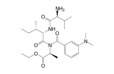 M-dimethylaminobenzoylvalylisoleucylalanine ethyl ester