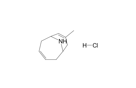 8-Methyl-10-azabicyclo[4.3.1]deca-3,7-diene hydrochloride