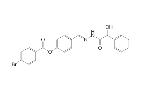 benzeneacetic acid, alpha-hydroxy-, 2-[(E)-[4-[(4-bromobenzoyl)oxy]phenyl]methylidene]hydrazide