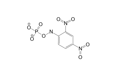 [(2,4-dinitrophenyl)amino] phosphate