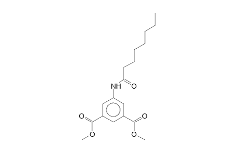 5-(1-oxooctylamino)benzene-1,3-dicarboxylic acid dimethyl ester