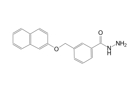 3-[(2-naphthyloxy)methyl]benzohydrazide