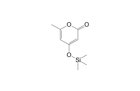 4-Hydroxy-6-methyl-2-pyrone, 1TMS