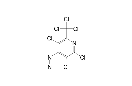 3,5,6-TRICHLORO-4-HYDRAZINO-2-TRICHLOROMETHYLPYRIDINE