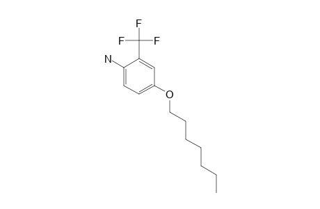 4-N-HEPTYLOXY-2-TRIFLUOROMETHYLANILINE