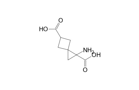 1-Amino-spiro[2.3]hexane-1,5-dicarboxylic acid