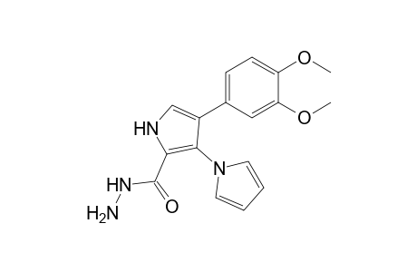 4'-(3,4-Dimethoxyphenyl)-1'H-1,3'-bipyrrole-2'-carbohydrazide