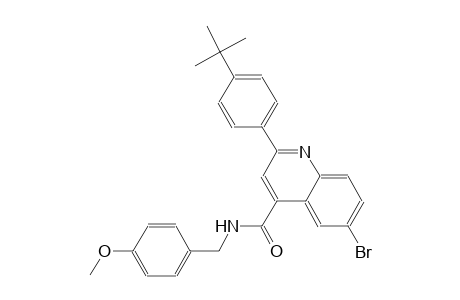 6-bromo-2-(4-tert-butylphenyl)-N-(4-methoxybenzyl)-4-quinolinecarboxamide