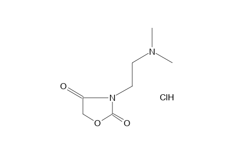3-[2-(DIMETHYLAMINO)ETHYL]-2,4-OXAZOLIDINEDIONE, HYDROCHLORIDE