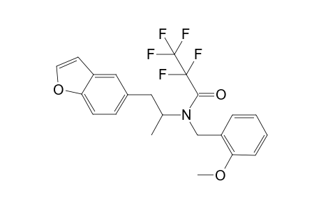 5-APB-NBOMe PFP