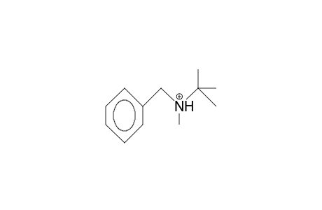N-tert-Butyl-N-methyl-benzylammonium cation