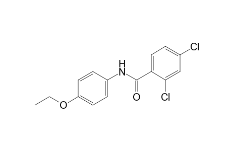 2,4-dichloro-p-benzophenetidide