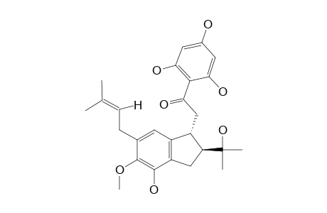 Antiarone J