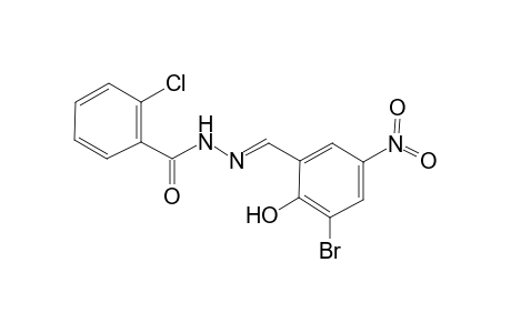N'-[(E)-(3-Bromo-2-hydroxy-5-nitrophenyl)methylidene]-2-chlorobenzohydrazide