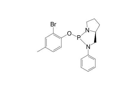 (2R,5S)-2-(2-BROMO-4-METHYLPHENOXY)-3-PHENYL-1,3-DIAZA-2-PHOSPHABICYCLO-[3.3.0(1,5)]-OCTANE