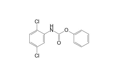 2,5-dichlorocarbanilic acid, phenyl ester