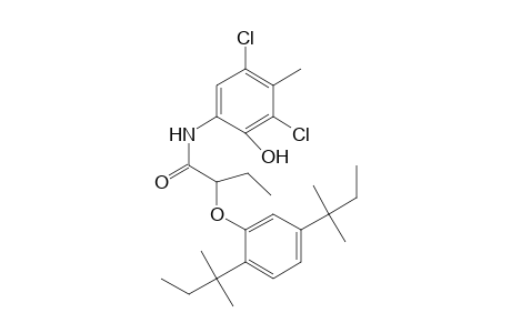 Butanamide, 2-[2,5-bis(1,1-dimethylpropyl)phenoxy]-N-(3,5-dichloro-2-hydroxy-4-methylphenyl)-