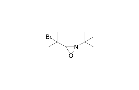 3-(2-bromopropan-2-yl)-2-tert-butyloxaziridine