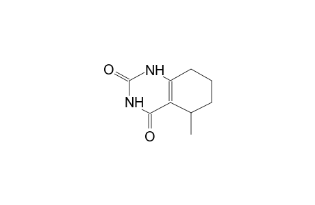 2,4-DIOXO-5-METHYL-5,6,7,8-TETRAHYDROQUINAZOLINE