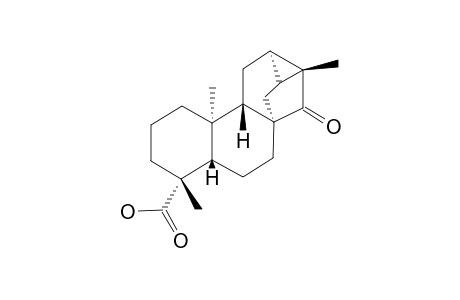 15-OXO-(-)-TRACHYLOBAN-19-OIC-ACID