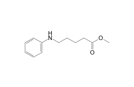 Methyl 5-Anilinopentanoate