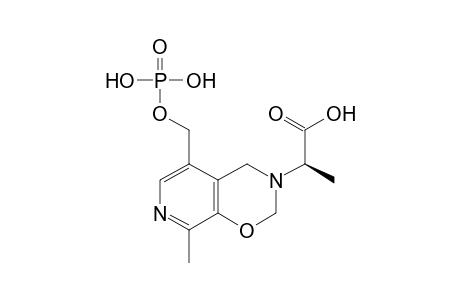 2H-Pyrido[4,3-e]-1,3-oxazine-3(4H)-acetic acid, .alpha.,8-dimethyl-5-[(phosphonooxy)methyl]-, (R)-