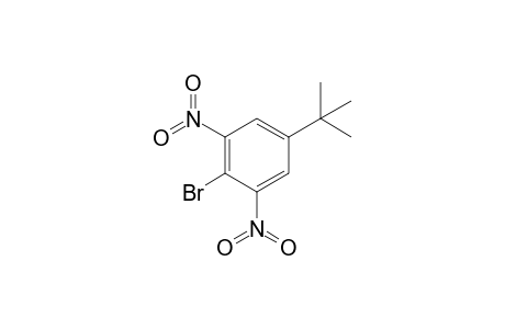 2-bromanyl-5-tert-butyl-1,3-dinitro-benzene