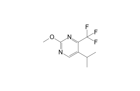 5-Isopropyl-2-methoxy-4-(trifluoromethyl)pyrimidine