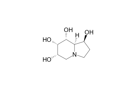 (1S,6S,7S,8R,8aR)-1,2,3,5,6,7,8,8a-octahydroindolizine-1,6,7,8-tetrol