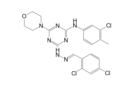 benzaldehyde, 2,4-dichloro-, [4-[(3-chloro-4-methylphenyl)amino]-6-(4-morpholinyl)-1,3,5-triazin-2-yl]hydrazone