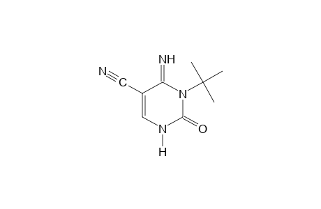 3-tert-BUTYL-4-IMINO-2-OXO-1,2,3,4-TETRAHYDRO-5-PYRIMIDINECARBONITRILE