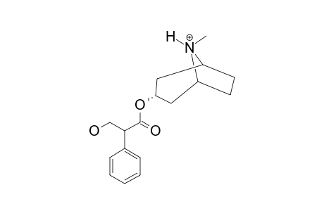 HYOSCYAMINSULFAT,(L-ATROPIN)