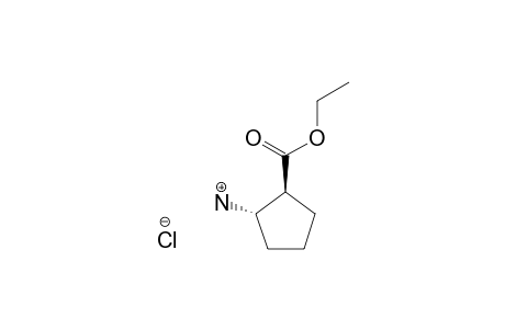 ETHYL-TRANS-2-AMINOCYCLOPENTANECARBOXYLATE-HYDROCHLORIDE