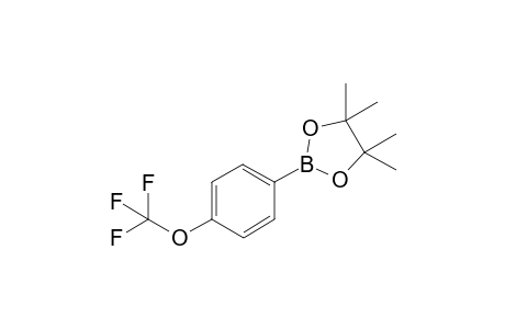 4,4,5,5-Tetramethyl-2-(4-(trifluoromethoxy)phenyl)-1,3,2-dioxaborolane