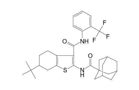 2-(adamantane-1-carbonylamino)-6-tert-butyl-N-[2-(trifluoromethyl)phenyl]-4,5,6,7-tetrahydro-1-benzothiophene-3-carboxamide