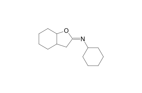 Cyclohexyl-(octahydrobenzofuran-2-ylidene)-amine