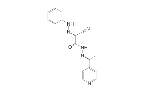 2-Oxo-N'-phenyl-2-(2-(1-(pyridin-4-yl)ethylidene)hydrazinyl)acetohydrazonoylcyanide