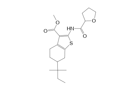 methyl 6-tert-pentyl-2-[(tetrahydro-2-furanylcarbonyl)amino]-4,5,6,7-tetrahydro-1-benzothiophene-3-carboxylate