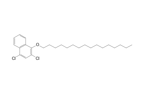 2,4-Dichloronaphth-1-yl hexadecyl ether