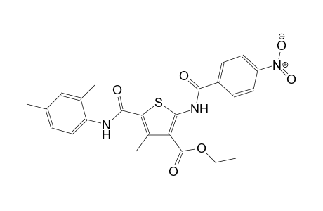 3-thiophenecarboxylic acid, 5-[[(2,4-dimethylphenyl)amino]carbonyl]-4-methyl-2-[(4-nitrobenzoyl)amino]-, ethyl ester