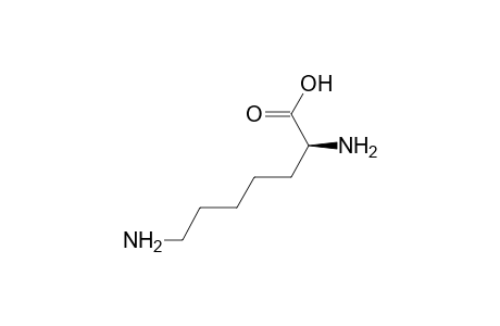 L-Lysine