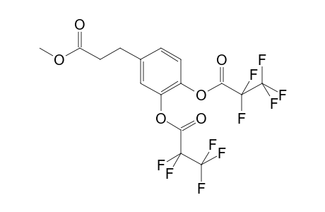 Hydrocaffeic acid ME2PFP            @