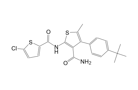 N-[3-(aminocarbonyl)-4-(4-tert-butylphenyl)-5-methyl-2-thienyl]-5-chloro-2-thiophenecarboxamide